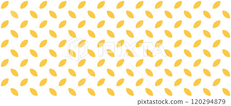 Wheat or rice grain pattern. Oat grain seamless background. Wheat cereal seed texture. Abstract organic seamless pattern. Vector illustration isolated on white background 120294879