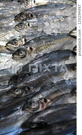 Horse mackerel for sale at the market Horse mackerel for sale at the market 120294997