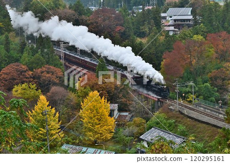 秩父鐵道 - 紅葉變色 - 浦山口站 - 鐵橋俯視圖 秩父鐵道 - 紅葉變色 - 浦山口站 - 鐵橋俯視圖 120295161