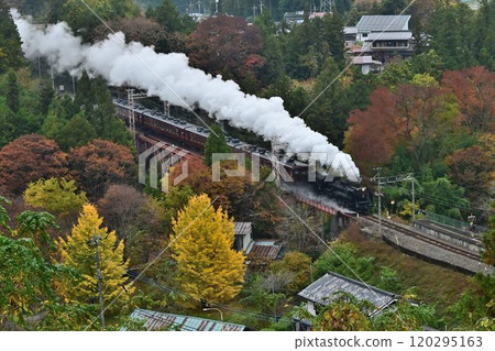 Chichibu Railway: Autumn leaves change color at Urayamguchi Station, overhead view of the railway bridge 120295163
