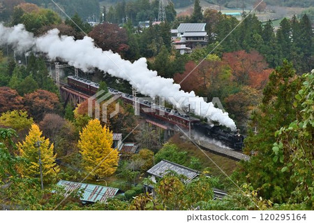 Chichibu Railway: Autumn leaves change color at Urayamguchi Station, overhead view of the railway bridge 120295164