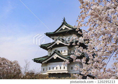 Hirosaki Castle, castle tower and cherry blossoms Hirosaki Castle, castle tower and cherry blossoms 120295213
