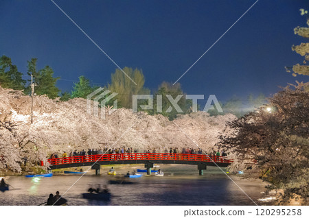 弘前城、夜晚的櫻花和橋樑 弘前城、夜晚的櫻花和橋樑 120295258
