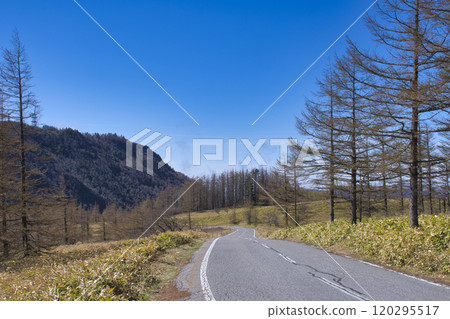 [Nagano Prefecture] Scenery of Utsukushigahara Highland Road 120295517