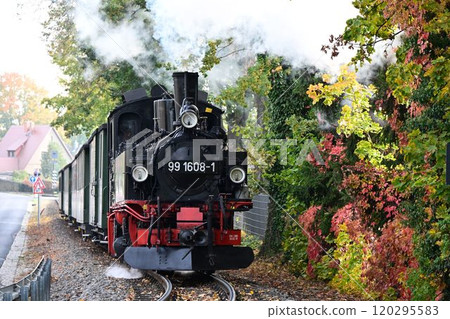 Meyer narrow-gauge steam locomotive of the Lessnitzgrund Railway near Dresden, Germany 120295583