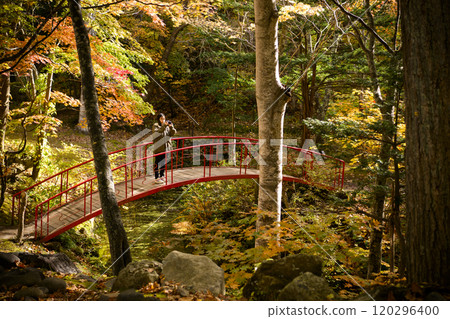 Women taking red leaves Women taking red leaves 120296400