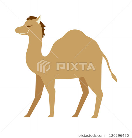 Illustration of a camel standing with its eyes closed 120296420