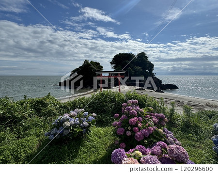 Arahira天神菅原神社 Arahira天神菅原神社 120296600