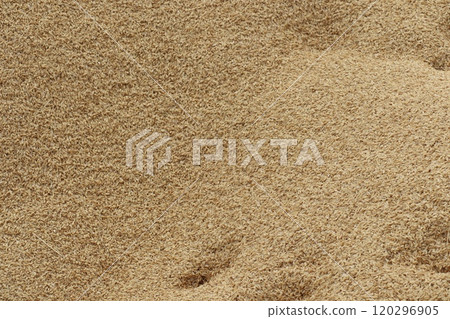 Rice husks left in a rice field 120296905