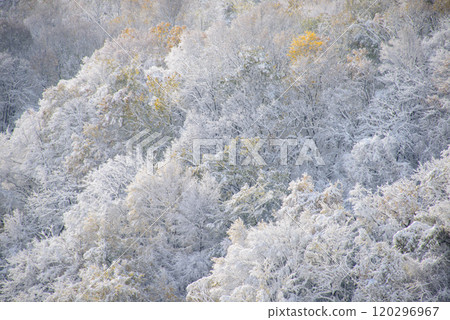 藻岩山初雪_6197 藻岩山初雪_6197 120296967