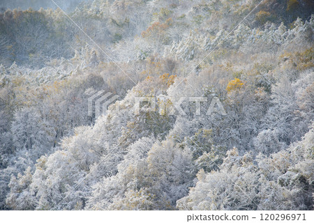 藻岩山初雪_6206 藻岩山初雪_6206 120296971