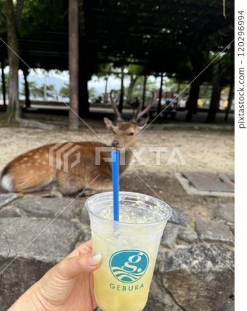 夏天的一天 夏天的一天 120296994