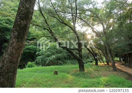 神奈川縣大和市泉之森公園的夜景 神奈川縣大和市泉之森公園的夜景 120297135