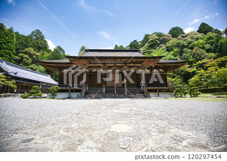 Fresh green Saimyoji 120297454