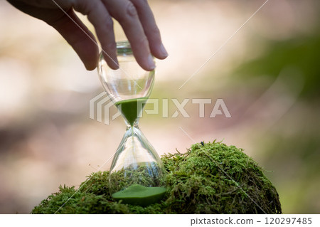 苔蘚森林和沙漏 苔蘚森林和沙漏 120297485