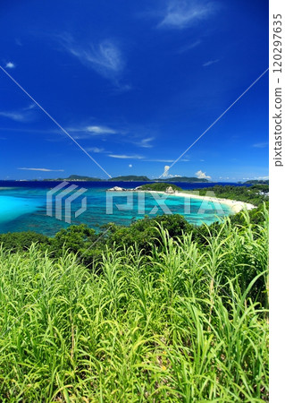 Scenery of Tokashiki Island in Okinawa in midsummer 120297635