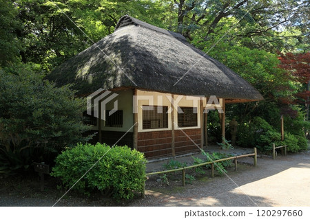 Koishikawa Korakuen in early summer (Kuhachiya) Koishikawa Korakuen in early summer (Kuhachiya) 120297660
