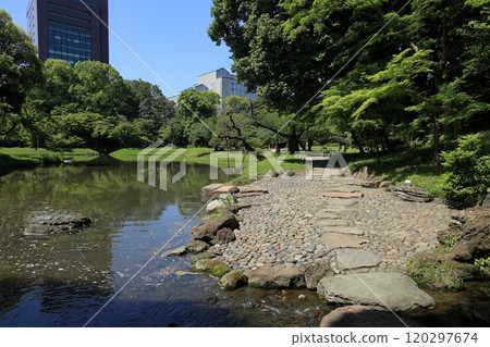 初夏的小石川後樂園(澤渡口) 初夏的小石川後樂園(澤渡口) 120297674