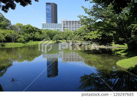 初夏的小石川後樂園(大泉水) 初夏的小石川後樂園(大泉水) 120297685