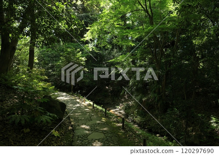 初夏的小石川後樂園 初夏的小石川後樂園 120297690