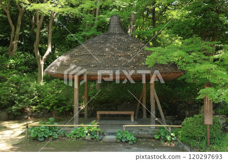 Koishikawa Korakuen (Maruya) in early summer 120297693