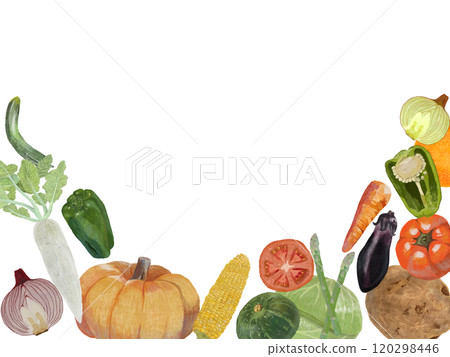蔬菜框架_水平白色背景 蔬菜框架_水平白色背景 120298446