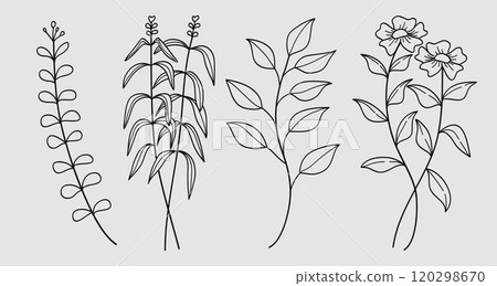 Hand drawn floral minimal elements in line art style. Greenery for decoration, wild and garden plants, branches, leaves. Vector illustration 120298670