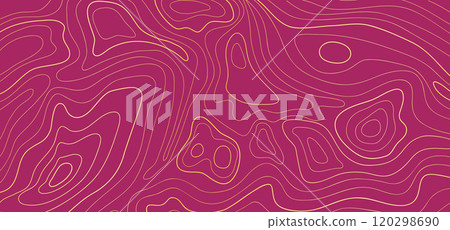 Abstract gold Line topography map contour with purple background.Vector illustration 120298690