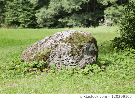Mossy boulder laying in the grass Mossy boulder laying in the grass 120299163