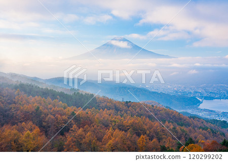 [Yamanashi Prefecture] Yellow larch leaves, pink sea of clouds and Mt. Fuji 120299202
