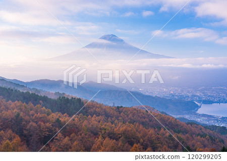 [Yamanashi Prefecture] Yellow larch leaves, pink sea of clouds and Mt. Fuji 120299205