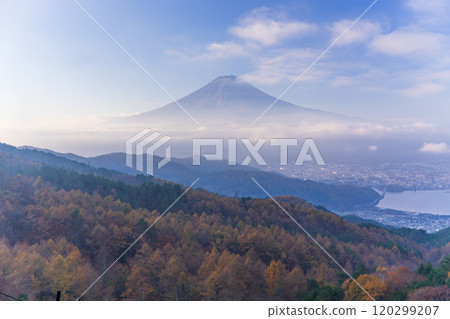 【山梨縣】黃色的落葉松葉、粉紅色的雲海和富士山 【山梨縣】黃色的落葉松葉、粉紅色的雲海和富士山 120299207