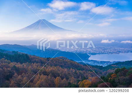 [Yamanashi Prefecture] Yellow larch leaves, pink sea of clouds and Mt. Fuji 120299208