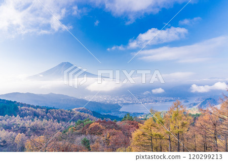 [Yamanashi Prefecture] Yellow larch leaves, pink sea of clouds and Mt. Fuji 120299213