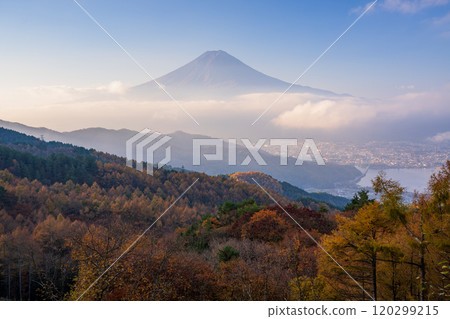 [Yamanashi Prefecture] Yellow larch leaves, pink sea of clouds and Mt. Fuji 120299215