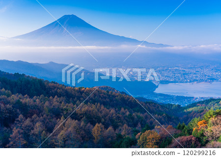 [Yamanashi Prefecture] Yellow larch leaves, pink sea of clouds and Mt. Fuji 120299216