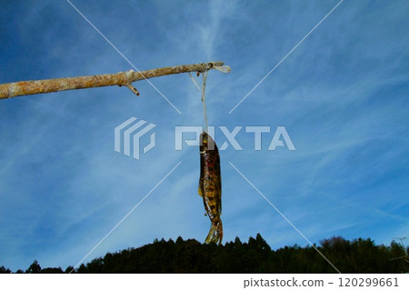 Smoked rockfish Smoked rockfish 120299661