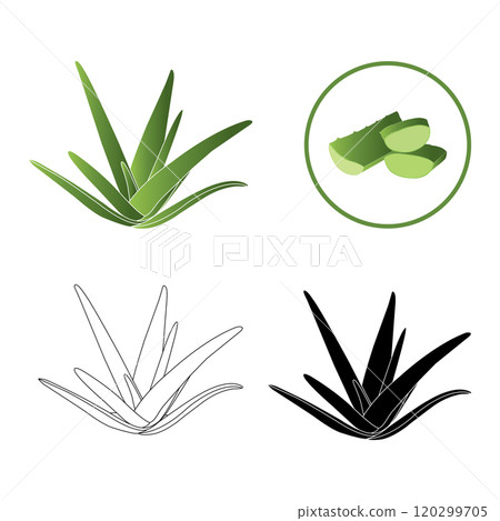 Aloe vera icon icon Aloe vera icon icon 120299705