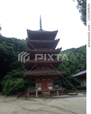 明院是位於廣島縣福山市草戶町的真言宗大覺寺派的佛教寺廟,由空海創建於面向蘆田川的愛宕山麓。 明院是位於廣島縣福山市草戶町的真言宗大覺寺派的佛教寺廟,由空海創建於面向蘆田川的愛宕山麓。 120299934