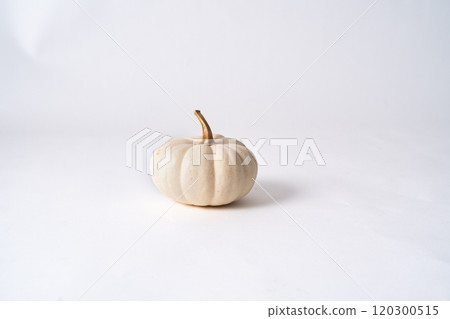 白色背景上的白色南瓜 白色背景上的白色南瓜 120300515