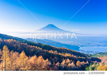 [Yamanashi Prefecture] Yellow leaves of larch trees, sea of clouds and Mt. Fuji 120300999