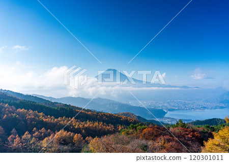 [Yamanashi Prefecture] Yellow leaves of larch trees, sea of clouds and Mt. Fuji 120301011