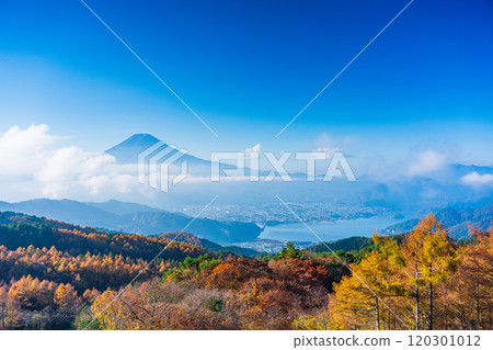 [Yamanashi Prefecture] Yellow leaves of larch trees, sea of clouds and Mt. Fuji 120301012