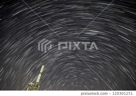 明星導師 明星導師 120301251
