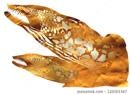 兇猛的鹹水魚海鰻的剪圖 120301367