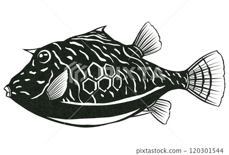 完美的設計,適合切割、貼上和著色觀賞箱魚。 完美的設計,適合切割、貼上和著色觀賞箱魚。 120301544