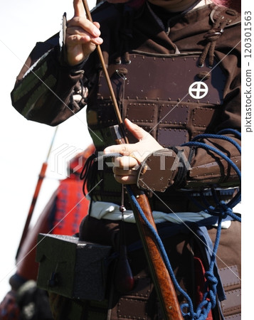 Warrior image 120301563