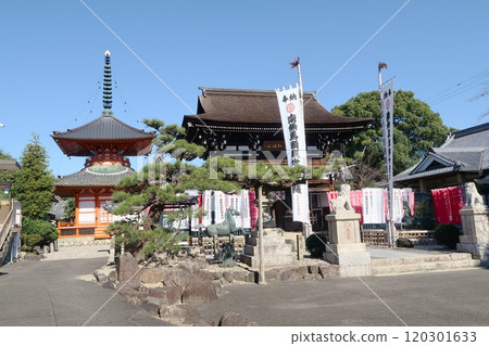 名古屋市守山區龍泉寺二王門與多寶塔 120301633