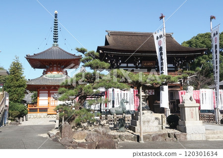 名古屋市守山區龍泉寺二王門與多寶塔 名古屋市守山區龍泉寺二王門與多寶塔 120301634