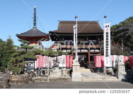 名古屋市守山區龍泉寺二王門與多寶塔 名古屋市守山區龍泉寺二王門與多寶塔 120301637